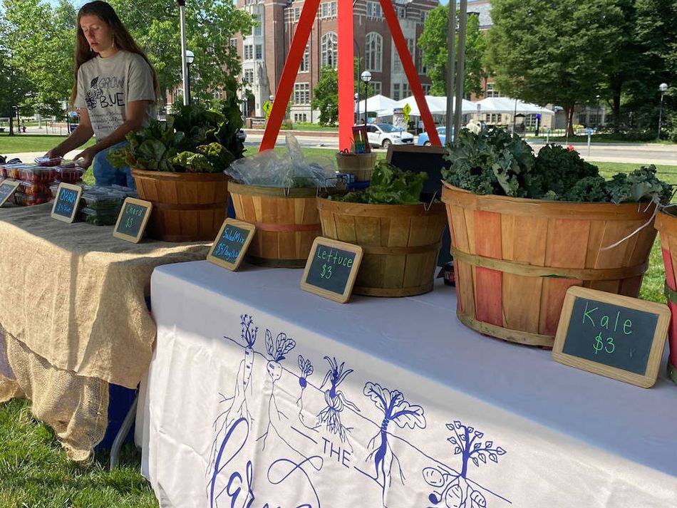 A student standing behind a farm stand table with bushels of food